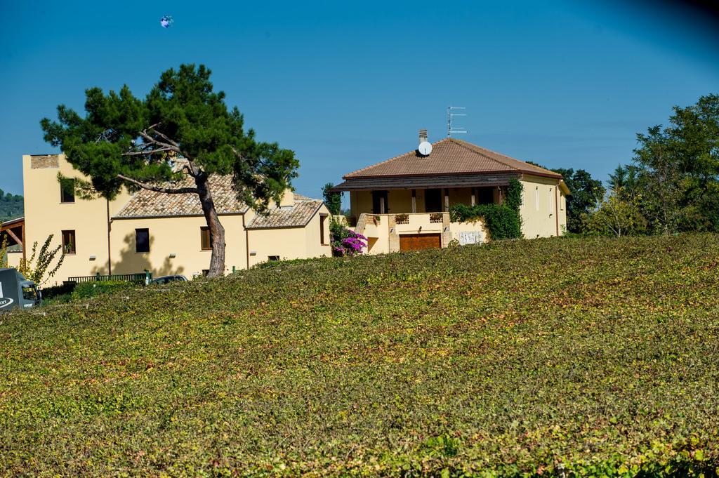 Masseria Del Vino Loreto Aprutino Luaran gambar