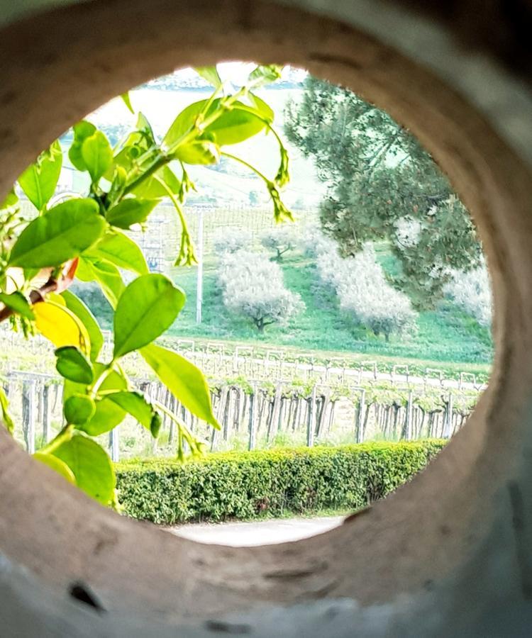 Masseria Del Vino Loreto Aprutino Luaran gambar