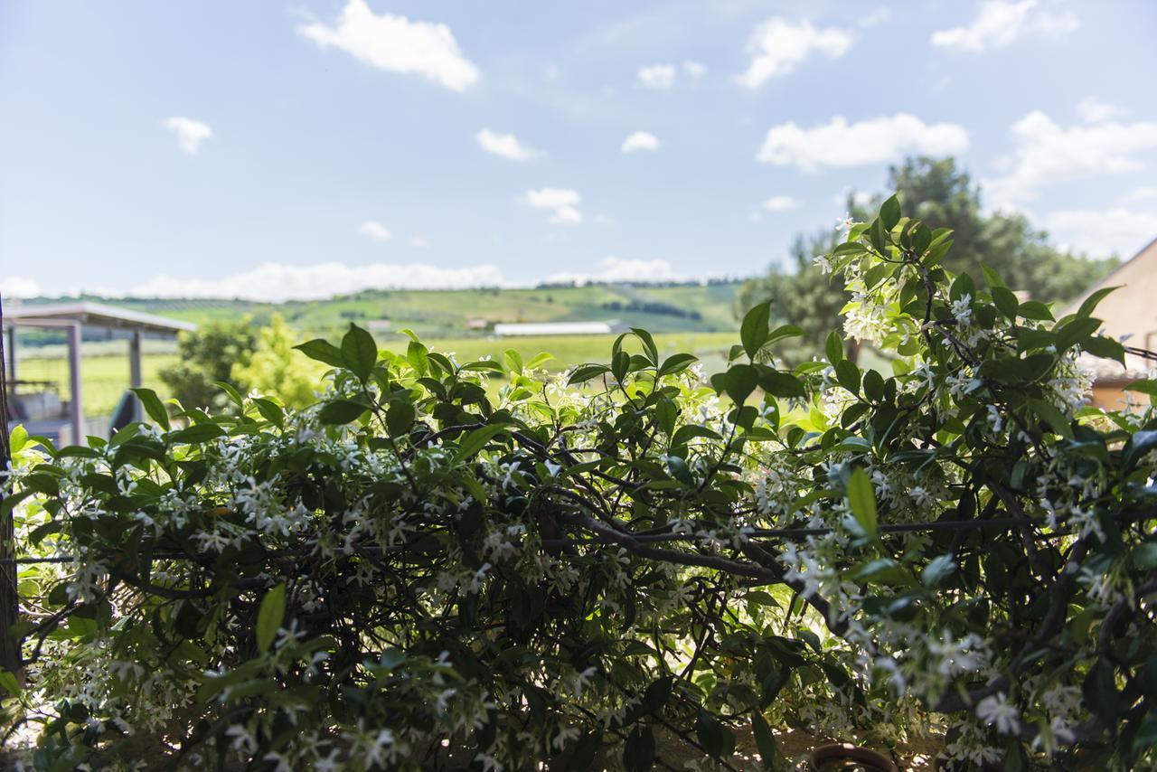 Masseria Del Vino Loreto Aprutino Luaran gambar